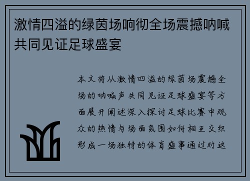 激情四溢的绿茵场响彻全场震撼呐喊共同见证足球盛宴